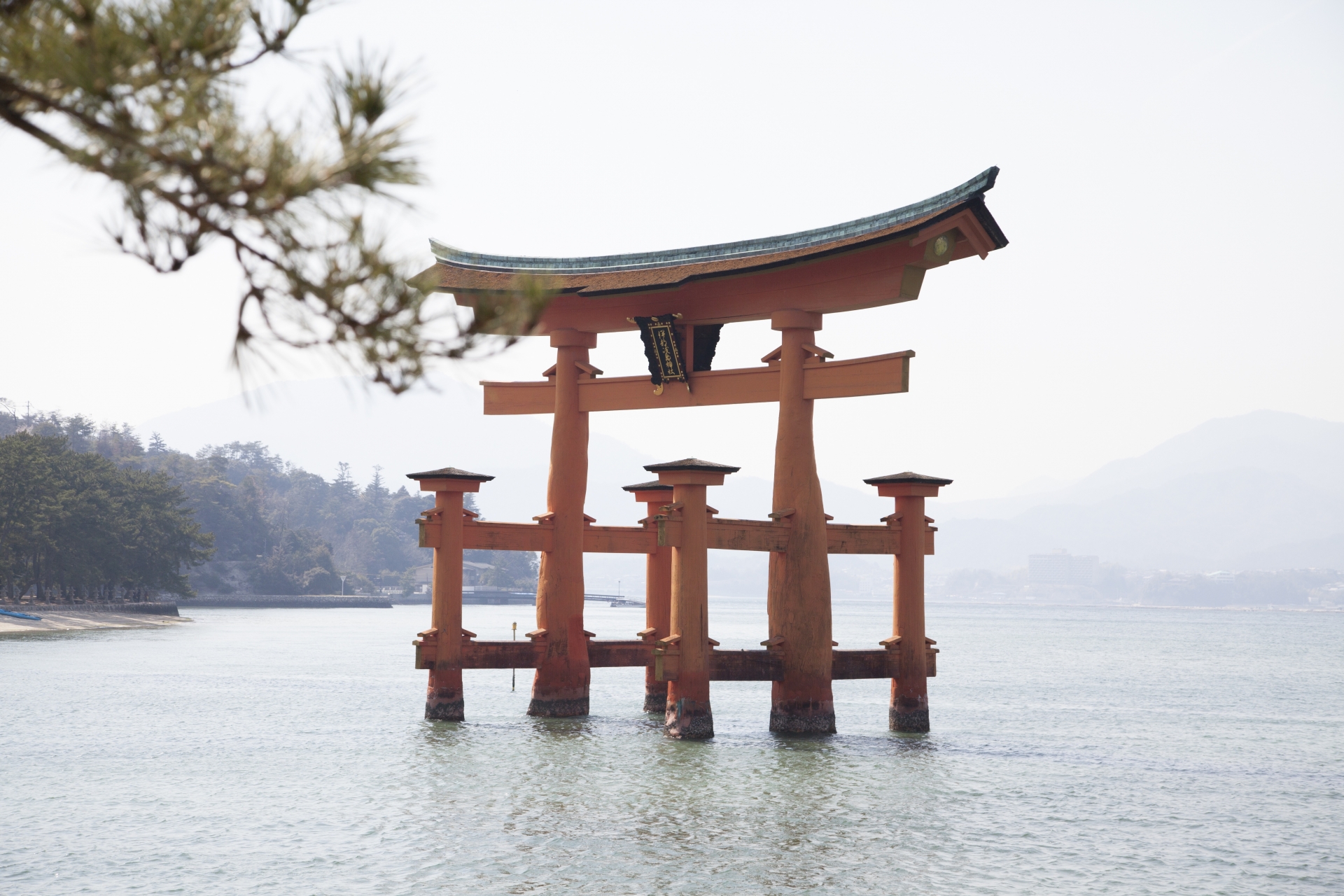 厳島神社の鳥居はなぜ腐らない、倒れない